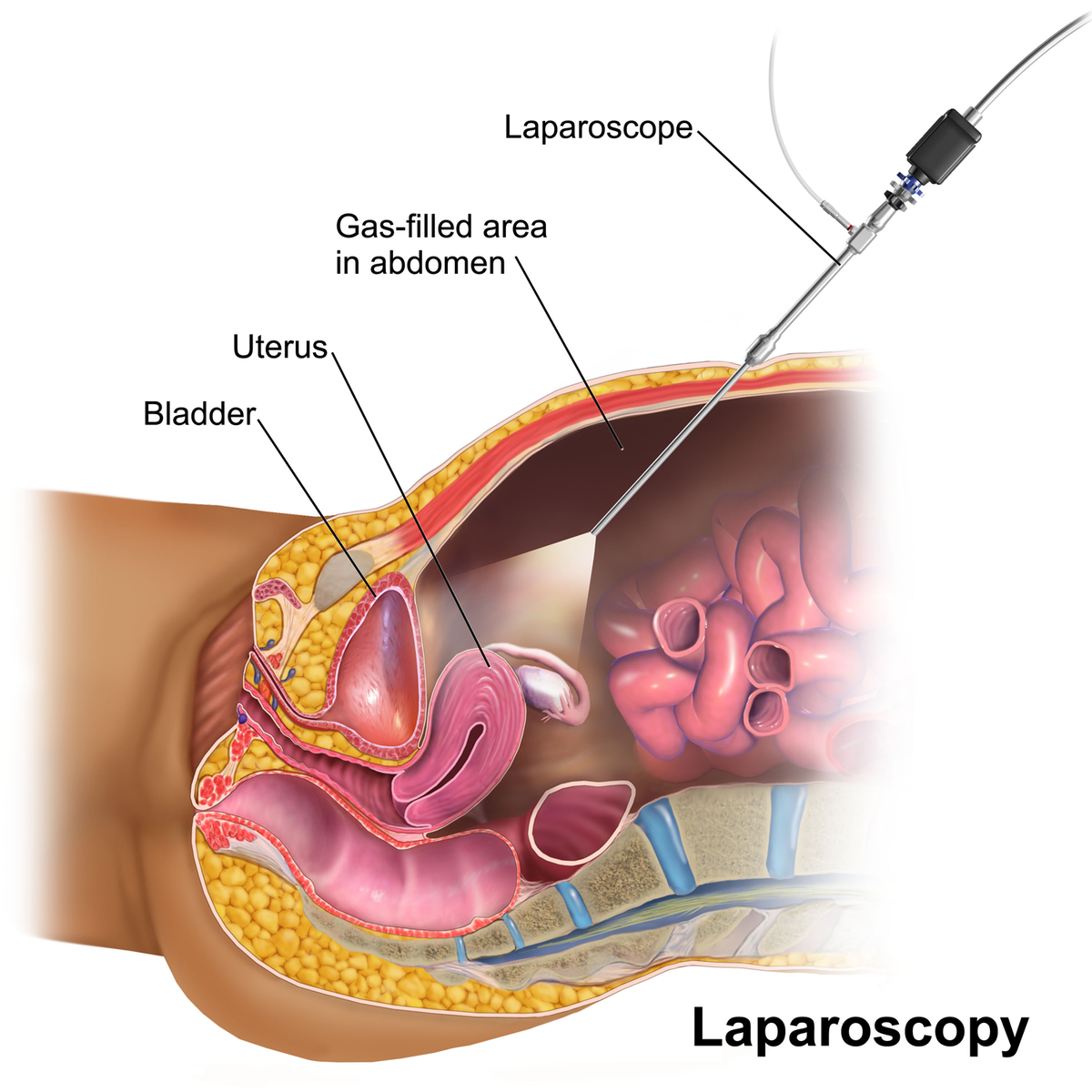 General Surgeon in Ghansoli